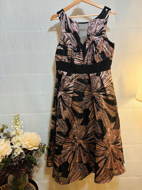 Coast- Black-Gold - Size 14