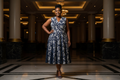 Hobbs Embroidered Dress - Luxury, Bun Hairstyle